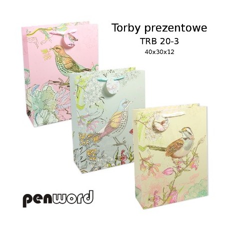 TORBY PREZENTOWE TRB 20-3 40x30x12