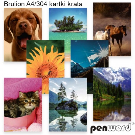 BRULION A4/304 KRATA