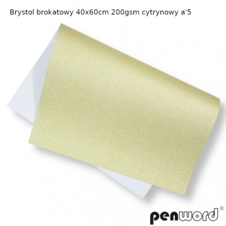 BRYSTOL BROKAT 40x60cm 200gsm CYTRYNOWY a'5