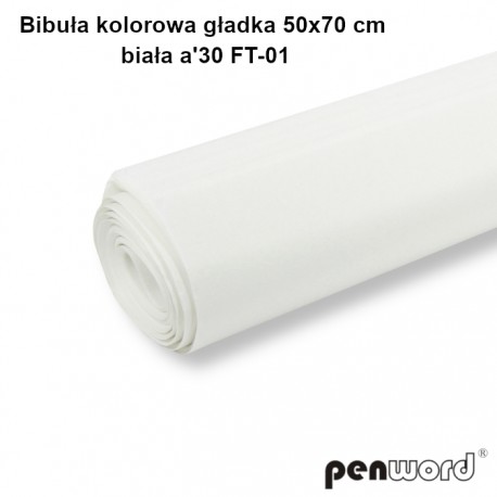 BIBUŁA KOLOROWA GŁADKA 50x70cm BIAŁA a'30 FT-01